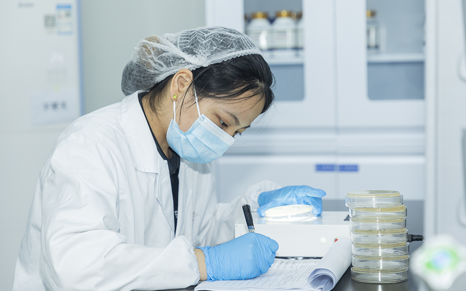 Quality Detection Room 1