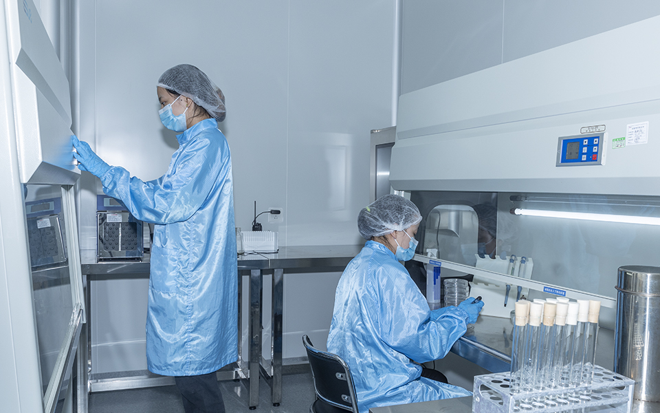 Quality Detection Room 10