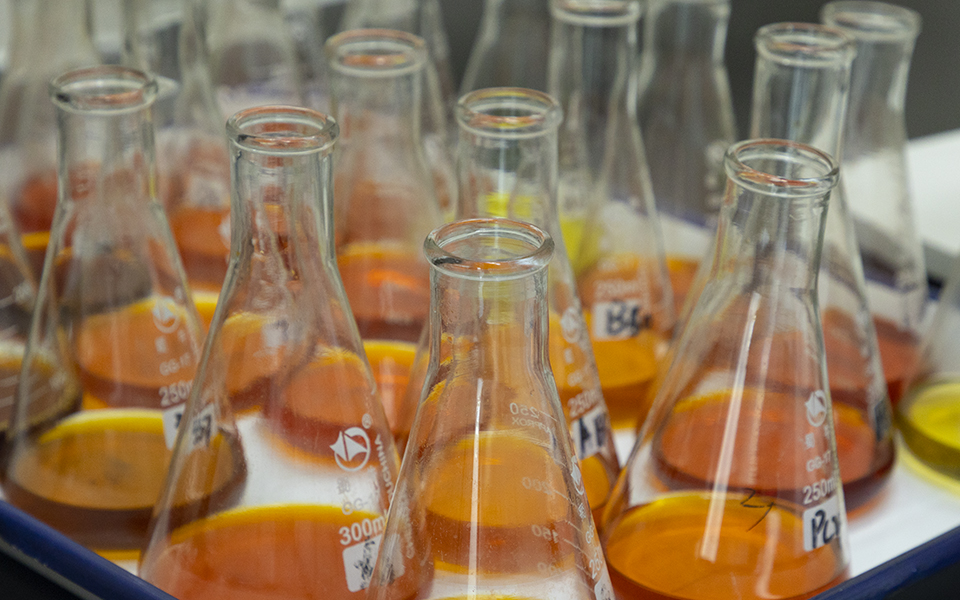 Quality Detection Room 8